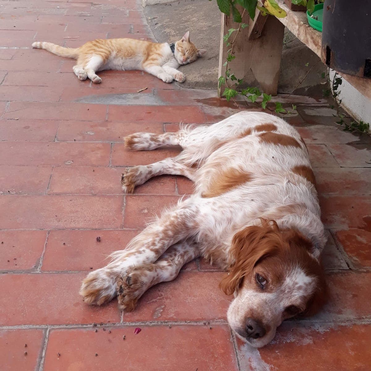 Exchange-traded Funds